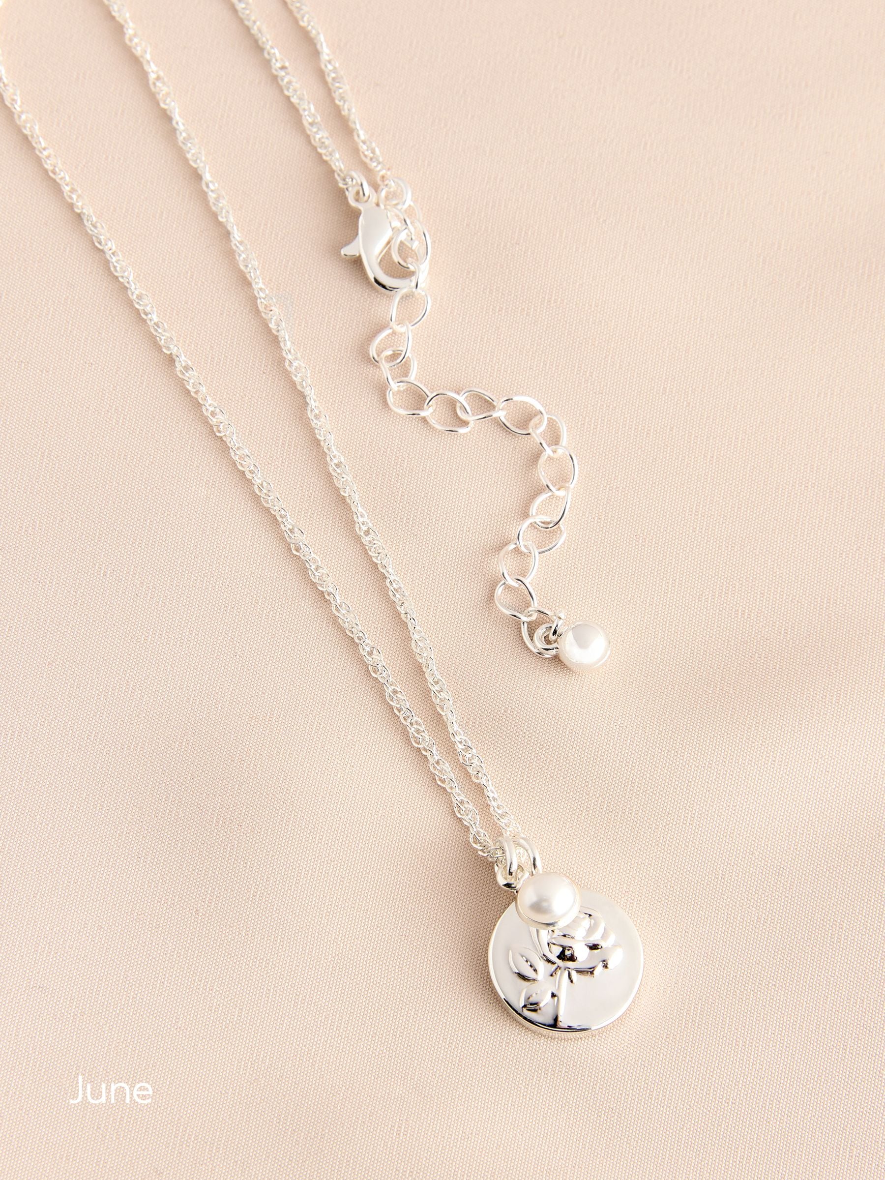 Silver Tone Birthstone Flower Necklace (British brand)