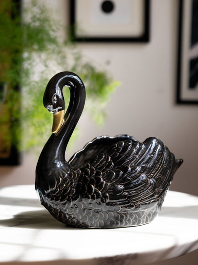 Next Rockett St George Black Swan Plant Pot- Buy online at McGrocer