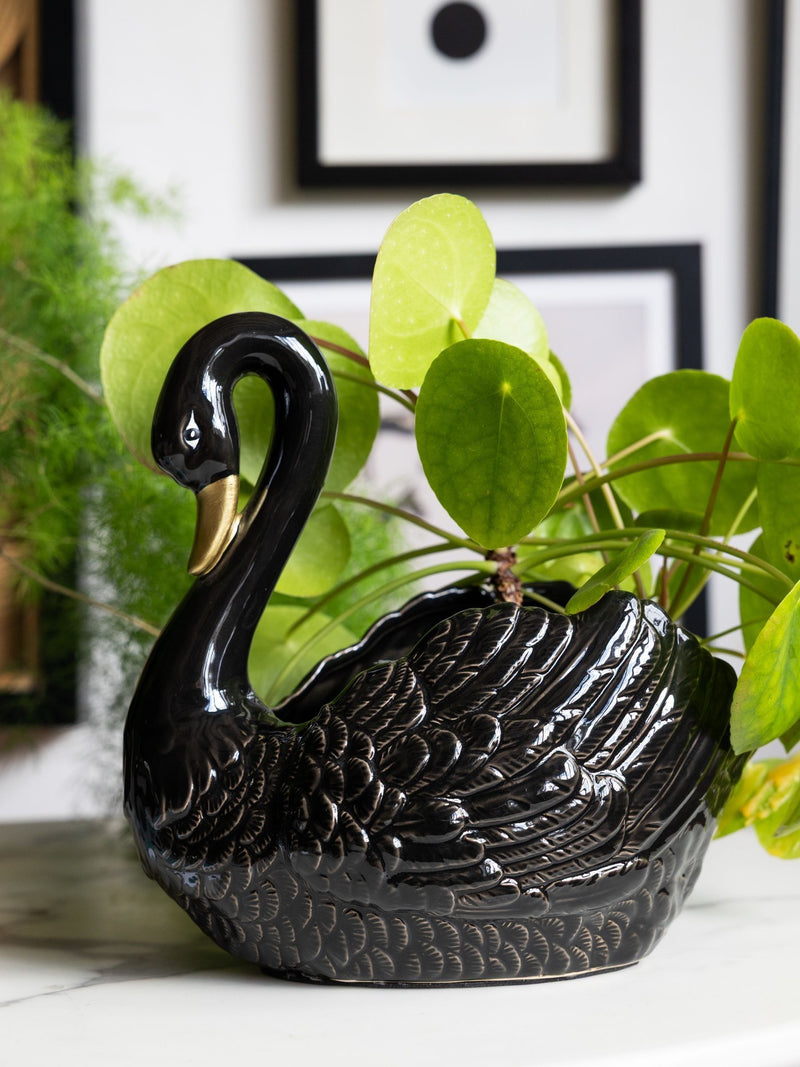 Rockett St George Black Swan ceramic planter, UK version