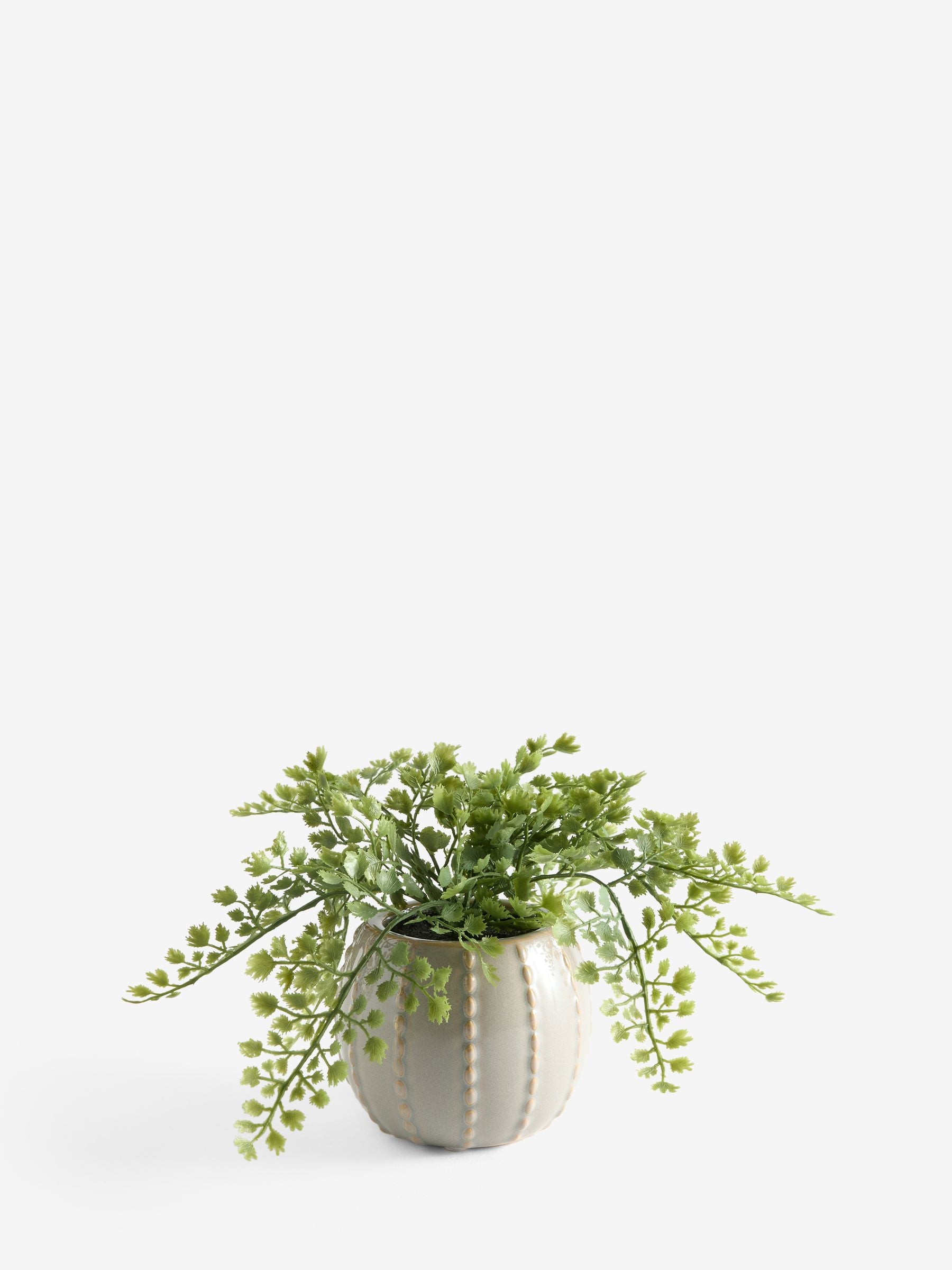 Artificial fern in ceramic pot 23cm, UK version