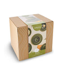 Mikasa Green Jardin ceramic dinner set 12 piece, imported from the UK