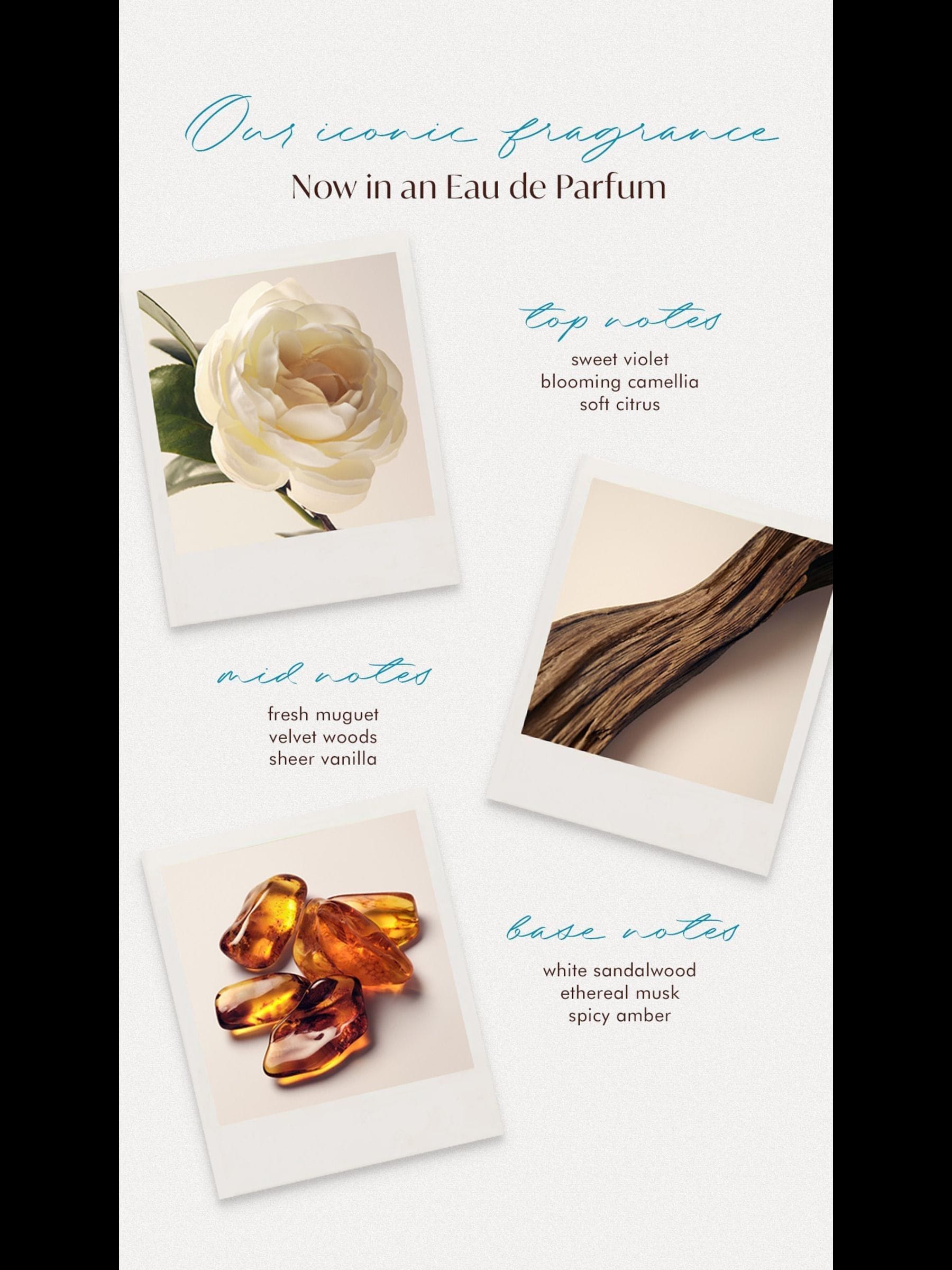 Eau de Parfum with Floral, Woody, and Amber Notes, 10ml