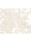 Origin Murals Natural Skeleton Leaf A4 wallpaper sample (British brand)