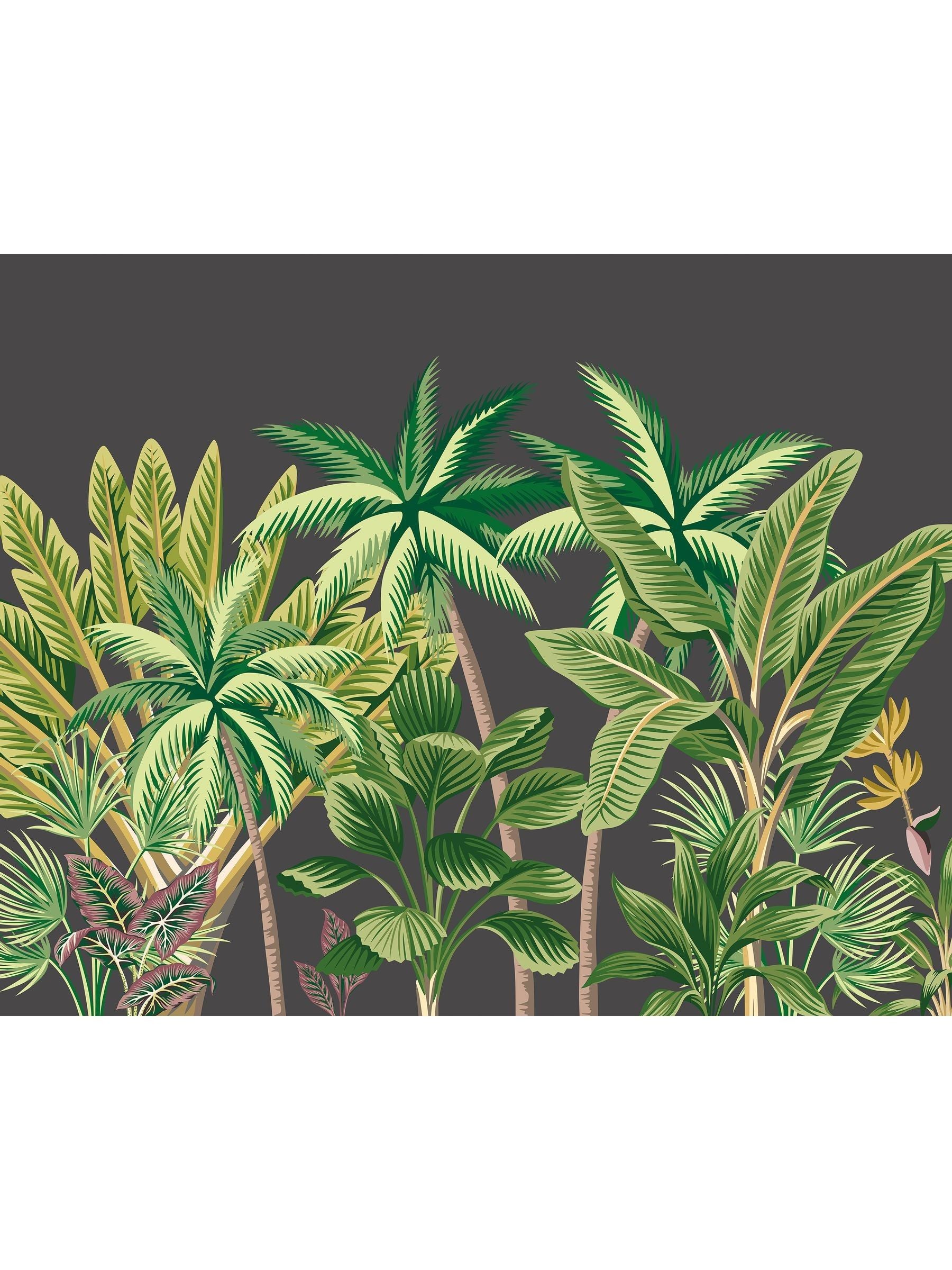 Origin Murals Black Tropical Palm Trees A4 Wallpaper Sample