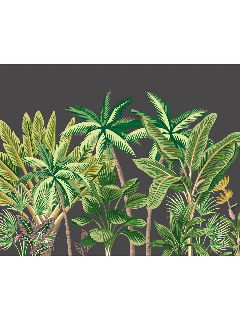 Origin Murals Black Tropical Palm Trees A4 Wallpaper Sample