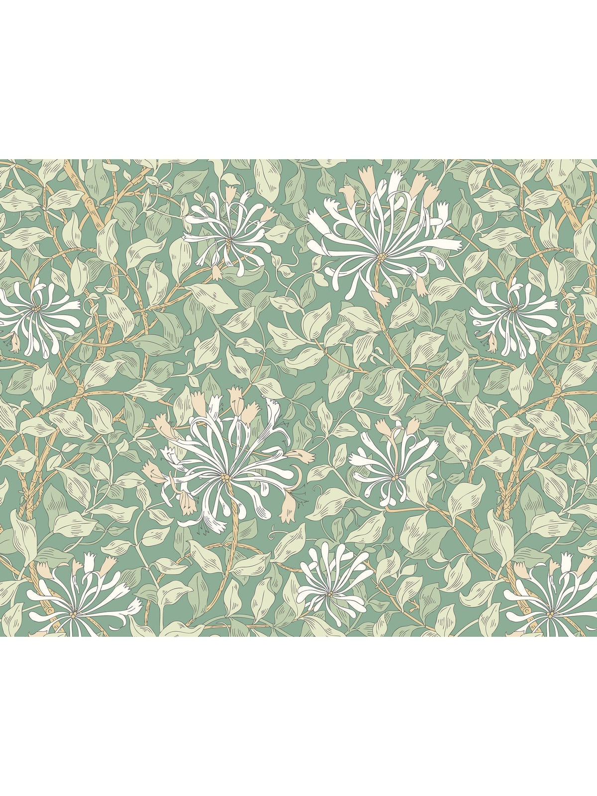 Origin Murals Soft Jade Honeysuckle A4 wallpaper sample, imported from the UK