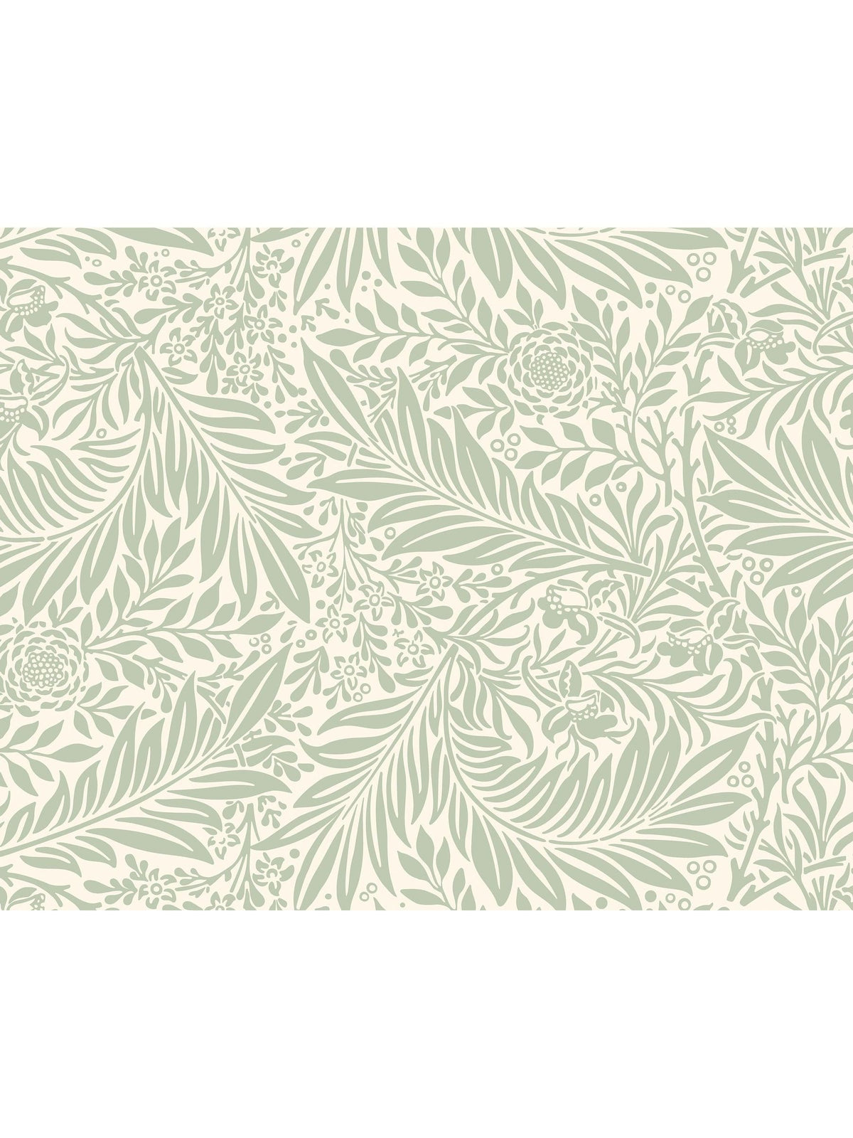 Origin Murals Sage Green Trailing Ferns wallpaper sample A4, imported from the UK