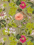 Clarke & Clarke Mulberry Gilver Passiflora Exotica wallpaper, UK version