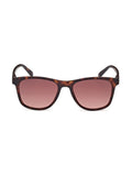GANT Classic Sunglasses in brown acetate, imported from the UK