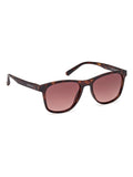 GANT Classic Sunglasses in brown acetate, imported from the UK