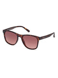 GANT Classic Sunglasses in brown acetate, imported from the UK