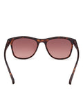 GANT Classic Sunglasses in brown acetate, imported from the UK