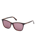 GANT brown dark Havana acetate sunglasses for women (British brand)