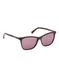GANT brown dark Havana acetate sunglasses for women (British brand)