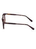 GANT dark havana classic sunglasses (British brand)