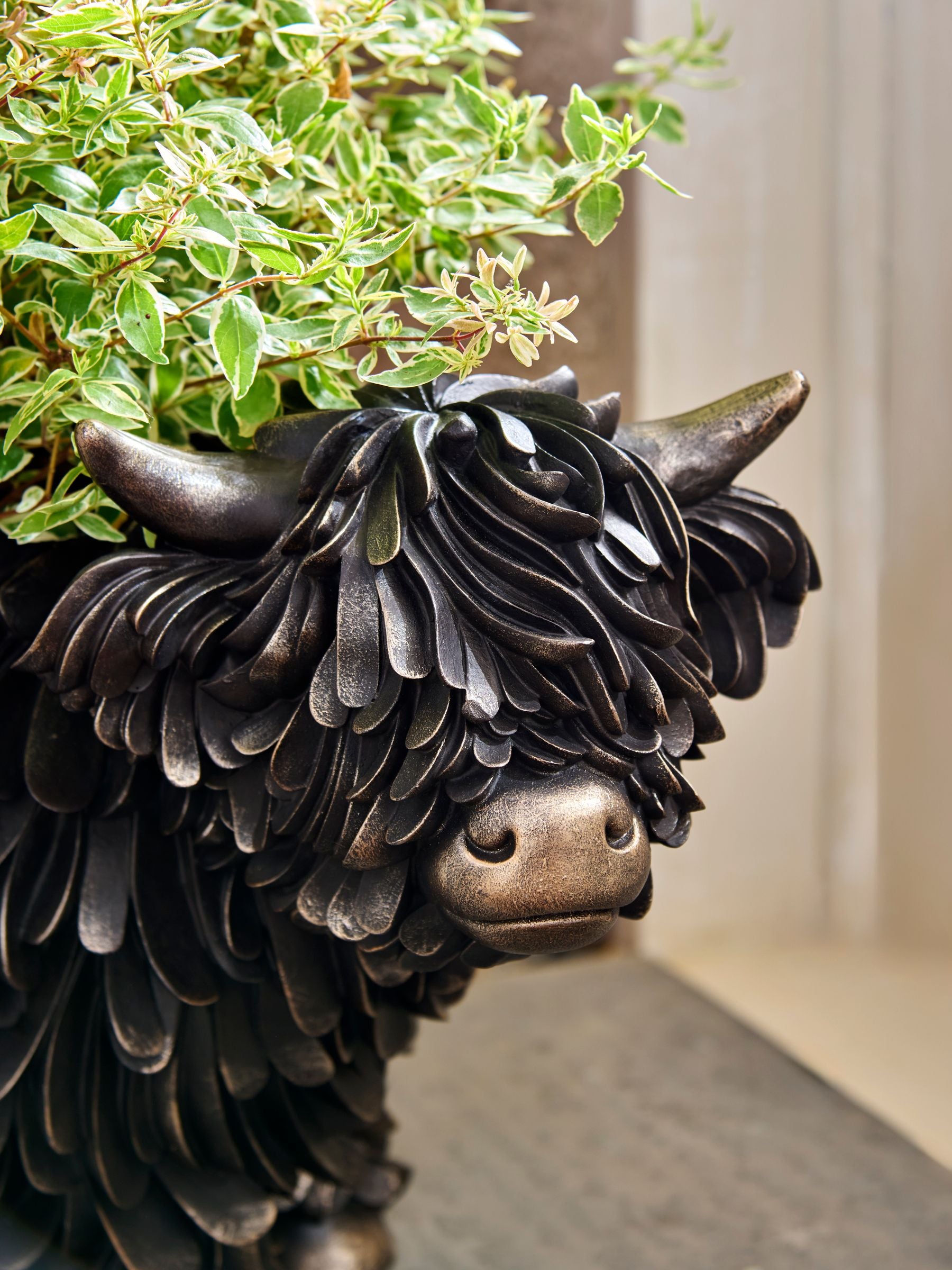 Bronze Hamish Highland Cow resin planter - British product
