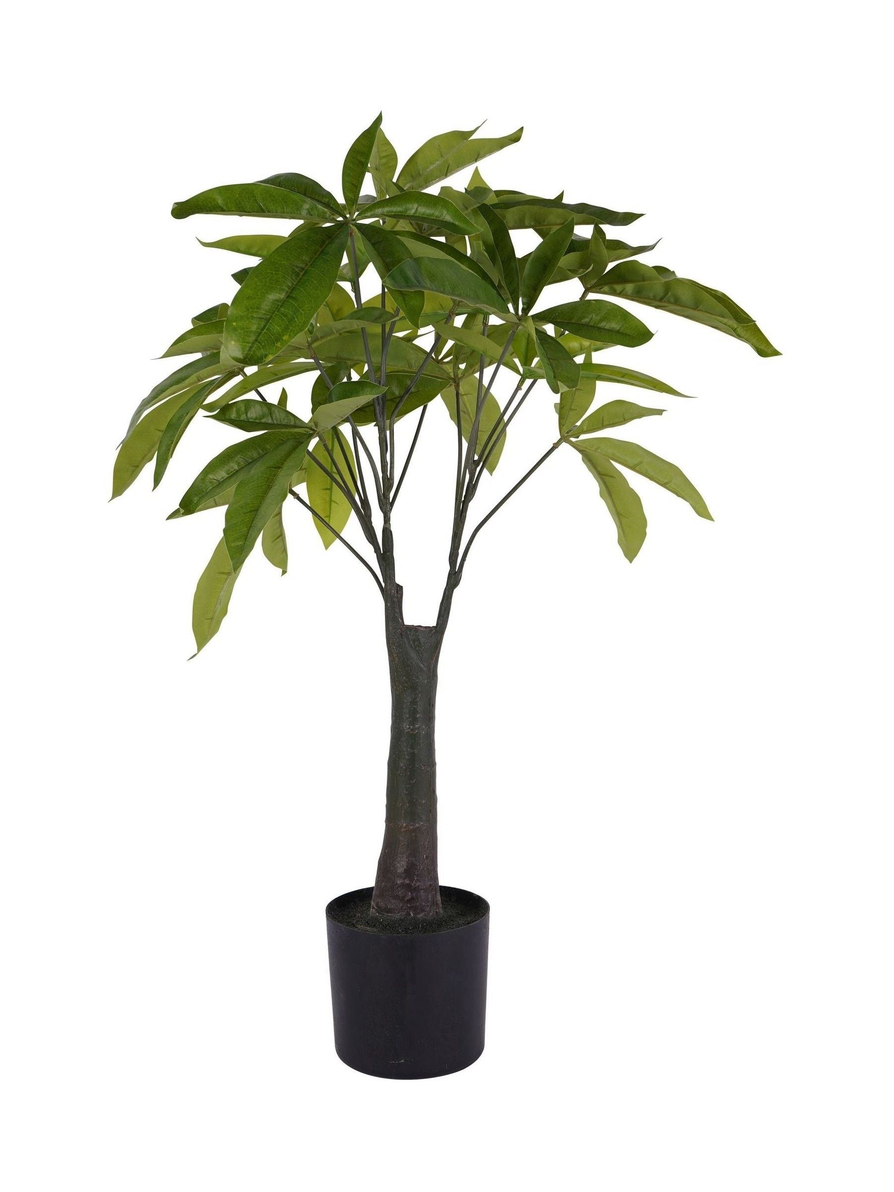 Libra Interiors Green Faux Pachira Money Plant, UK version
