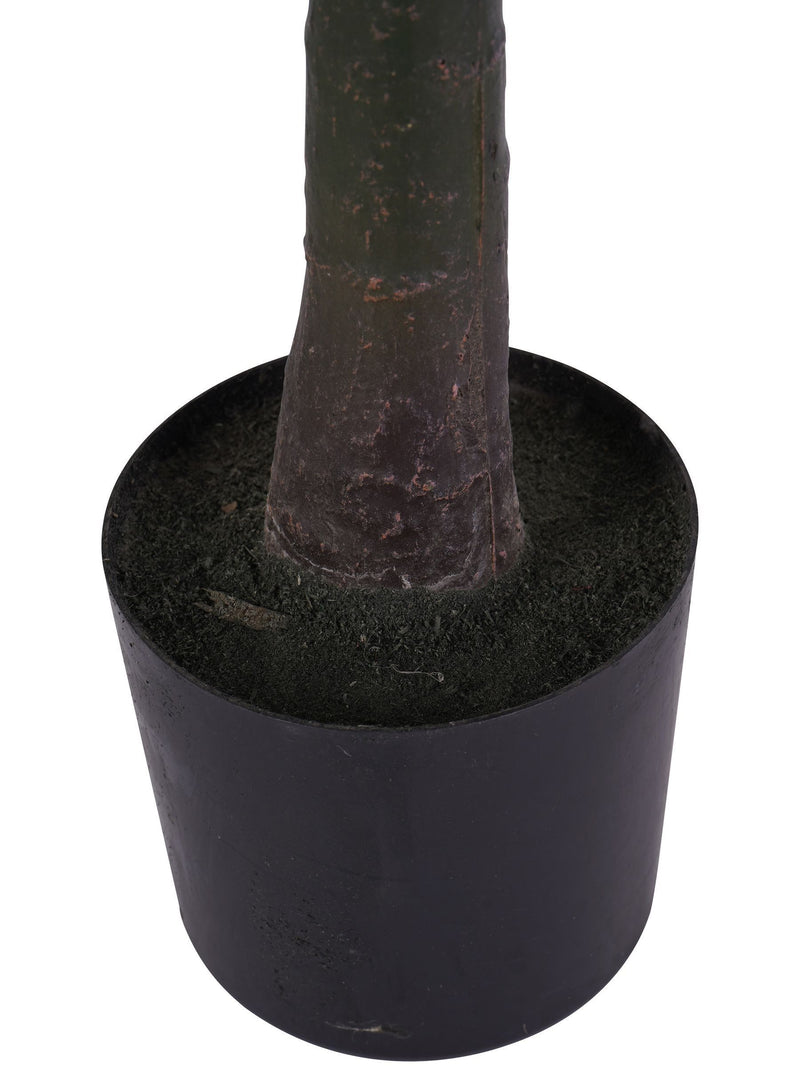 Libra Interiors Green Faux Pachira Money Plant, UK version