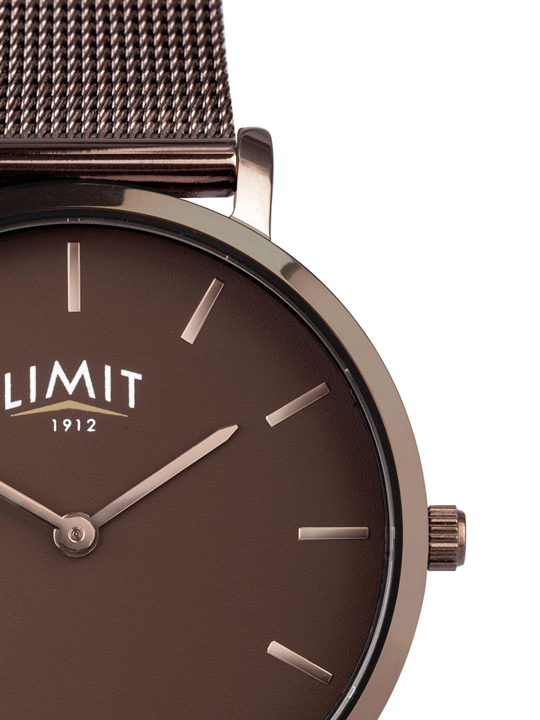 Women's 22mm Analogue Watch with Chocolate Dial and Brown Stainless Steel Bracelet