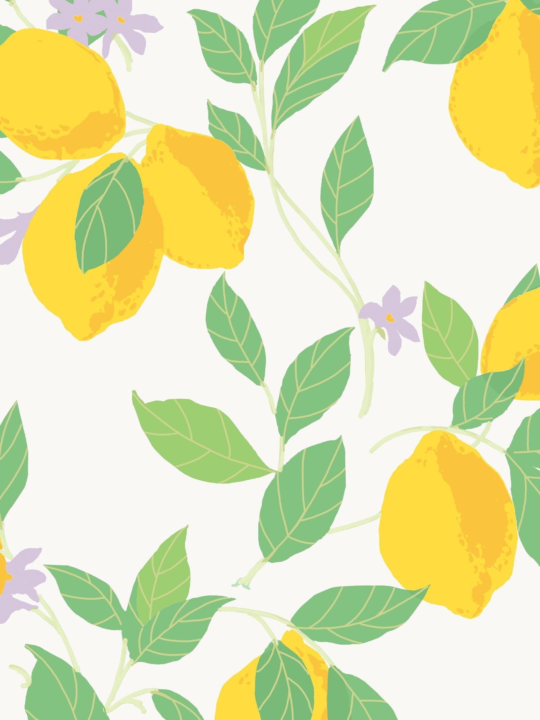Graham & Brown Feeling Fruity wallpaper 10M (British brand)