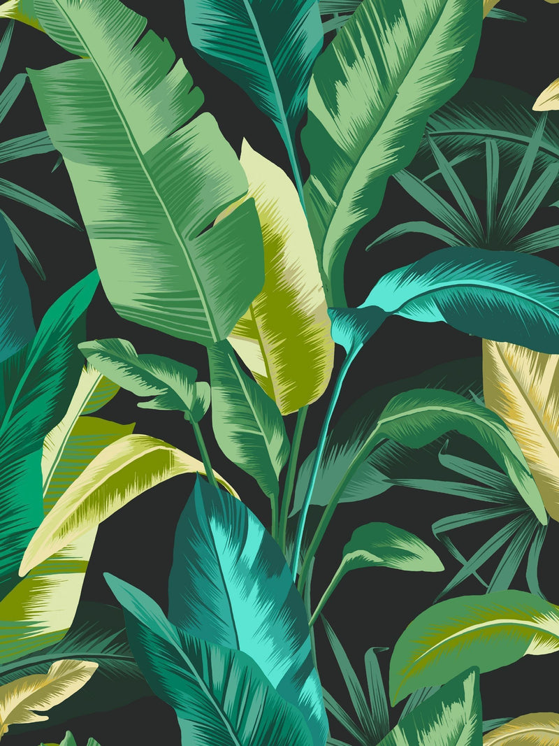 Graham & Brown Midnight Envy Leaf wallpaper 10m, imported from the UK