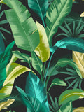 Graham & Brown Midnight Envy Leaf wallpaper 10m, imported from the UK