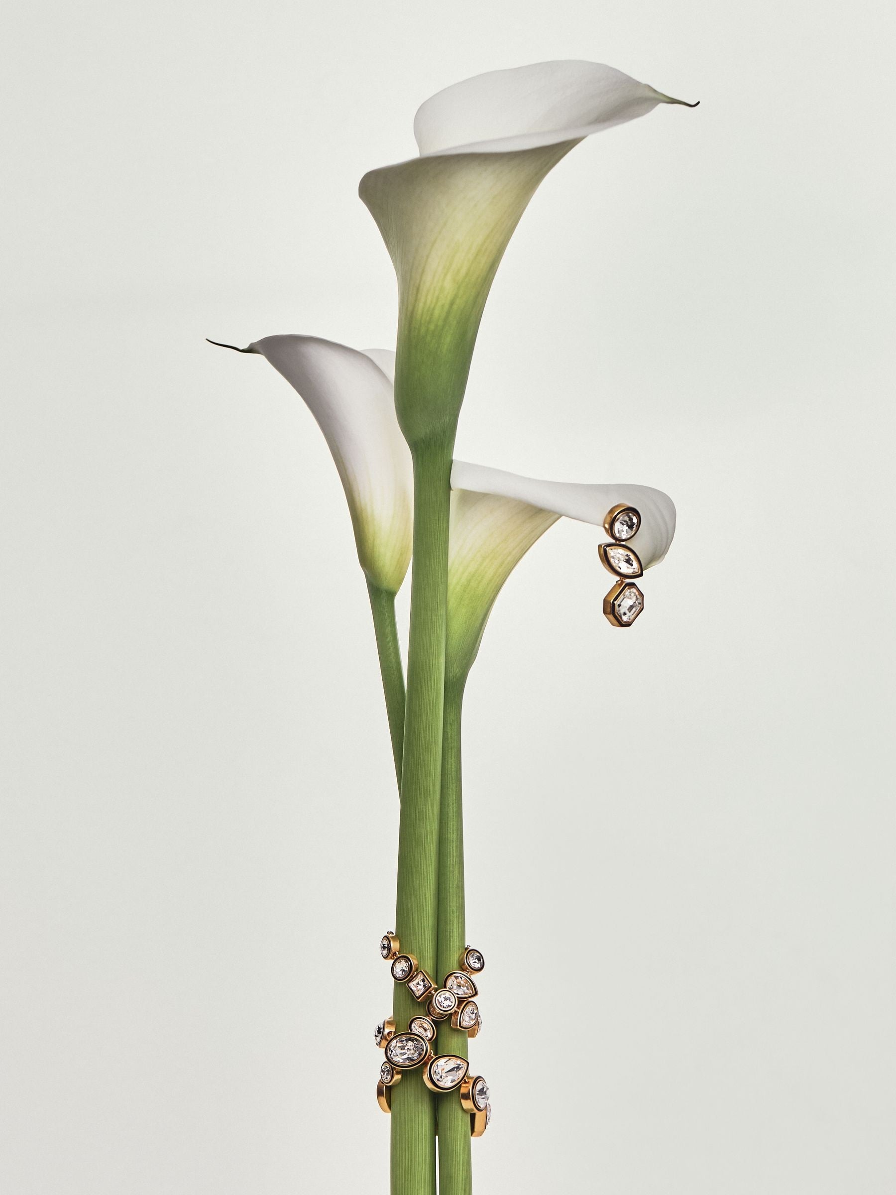 Reiss gold tone Crista crystal drop earrings, imported from the UK