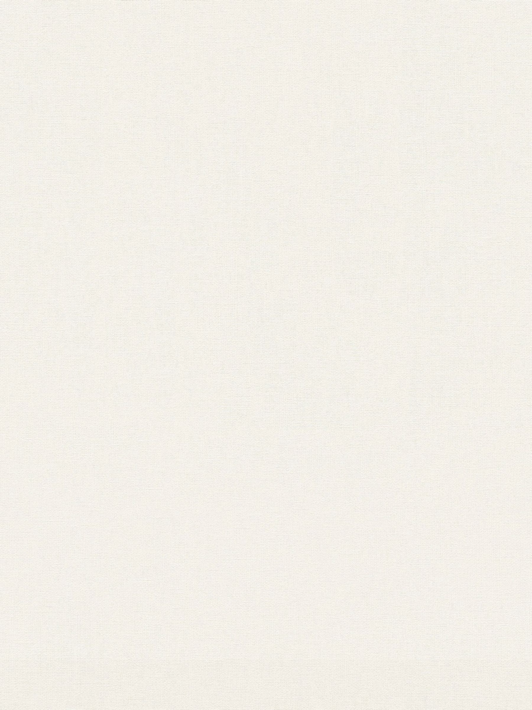 Style Sisters beige plain textured wallpaper 10M (British brand)