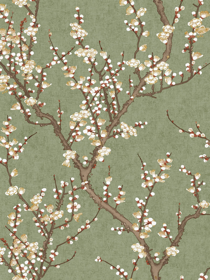 Galerie Spring Blossom Tree wallpaper 10m (British brand)