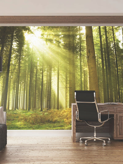 Next Origin Murals Evergreen Spruce Wall Mural 3.5M x 2.8M- Buy online at McGrocer