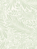 Hoopla Walls wallpaper sample sage ditsy leaf stripe A4 - British product
