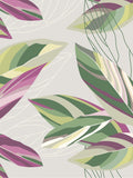 Origin Murals calathea leaves mural sample A3 (British brand)