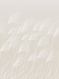 Harlequin Parchment Frost Miscanthus Kasuri wallpaper 10M, UK version