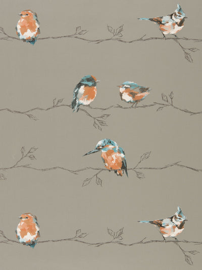 Next Harlequin Brown Persico Purity Edit Wallpaper 10m x 68.5cm- Buy online at McGrocer