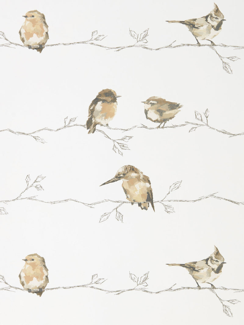 Harlequin Brown Persico Purity Edit Wallpaper 10m x 68.5cm