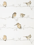 Harlequin Brown Persico Purity Edit Wallpaper 10m x 68.5cm