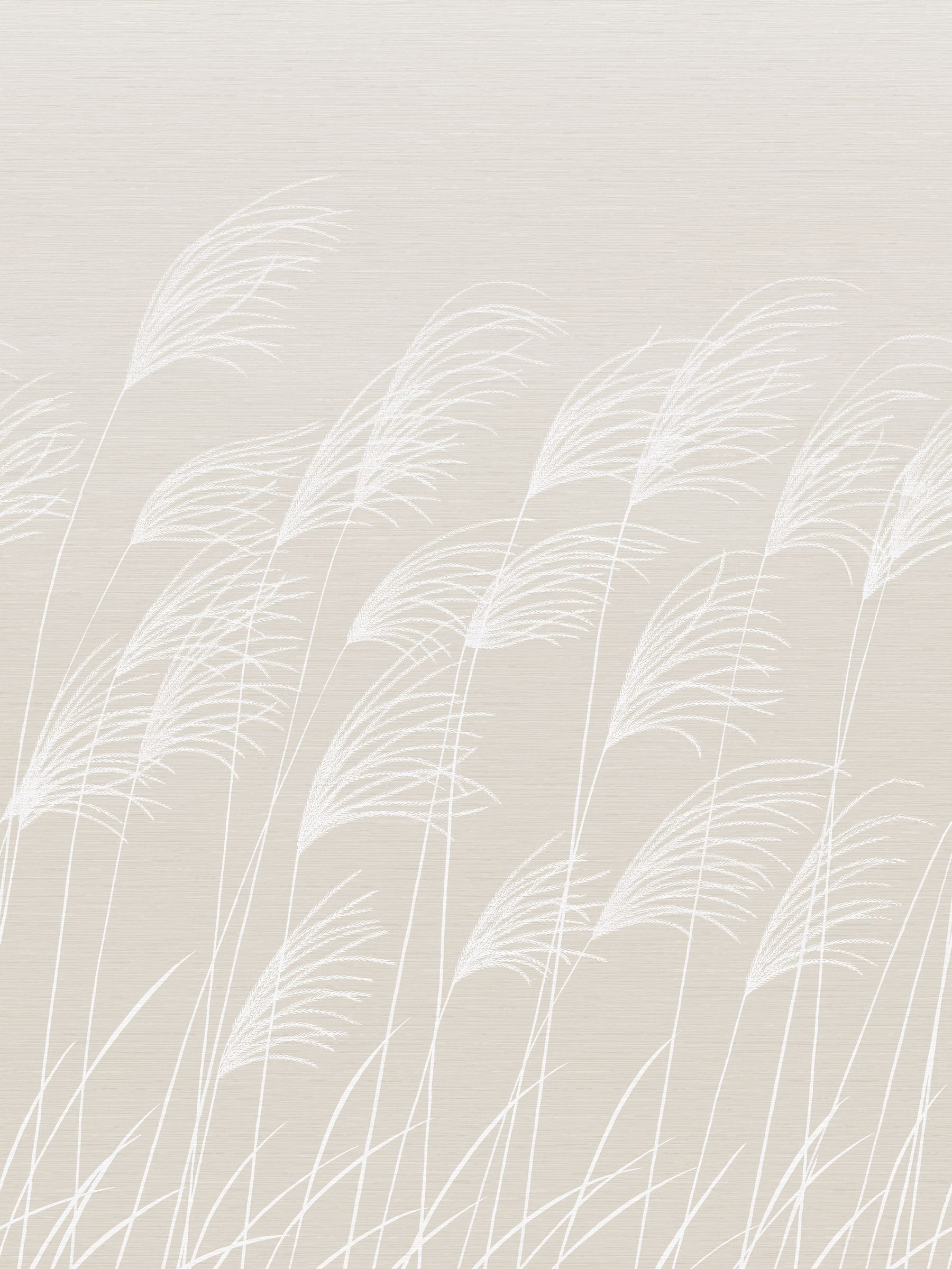 Harlequin Natural Miscanthus A4 wallpaper sample, UK version