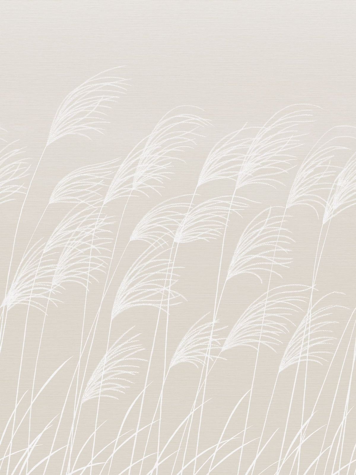 Harlequin Natural Miscanthus A4 wallpaper sample, UK version