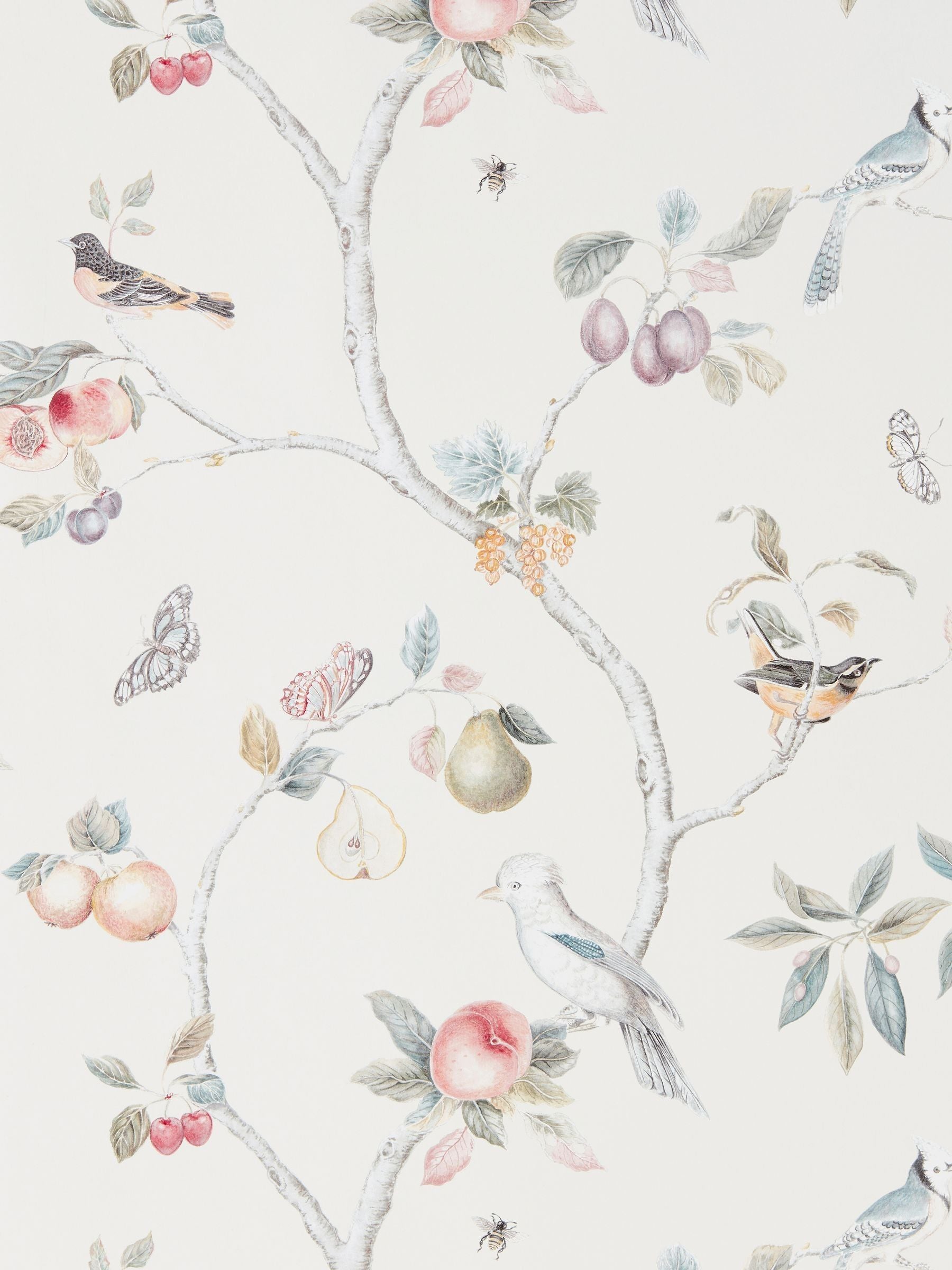 Sanderson wallpaper sample Natural Fruit Aviary A4 - British product