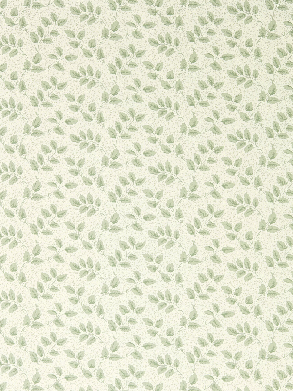 Sanderson Green Tomato Leaf A4 wallpaper sample, imported from the UK
