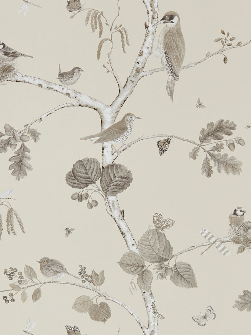 Sanderson wallpaper sample Woodland Chorus A4, imported from the UK