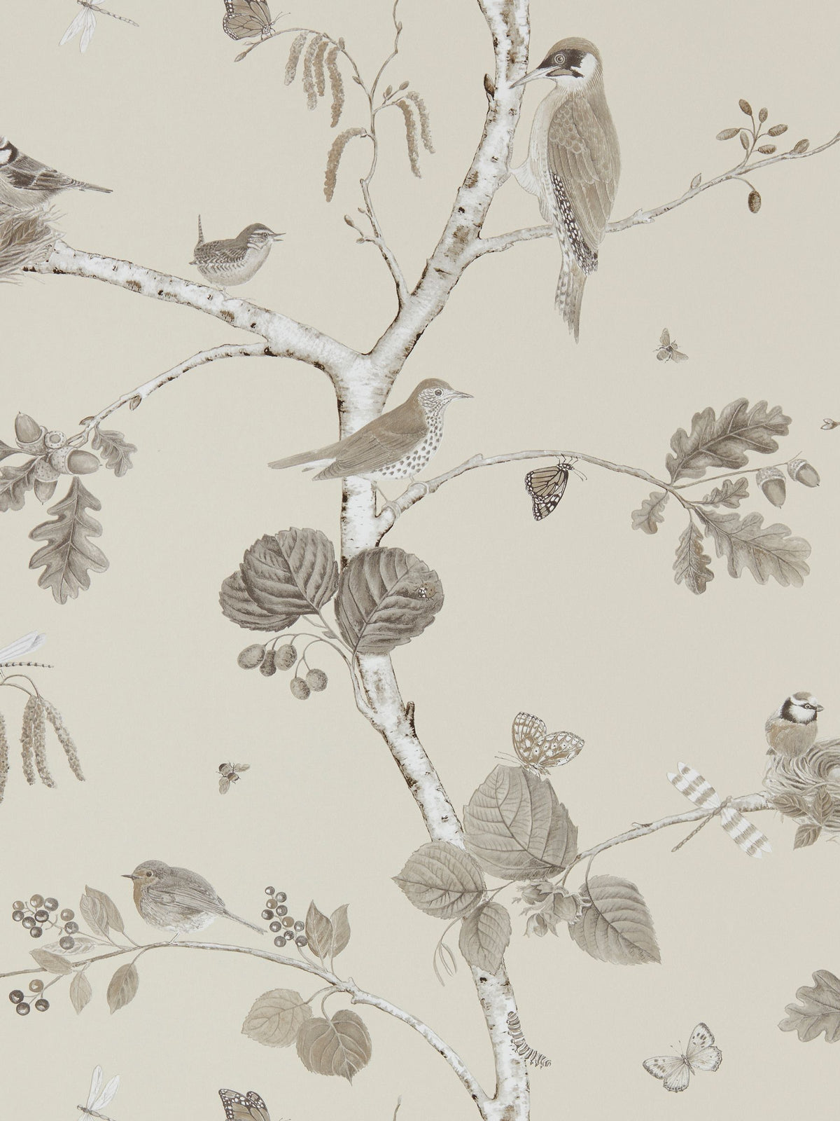 Sanderson wallpaper sample Woodland Chorus A4, imported from the UK