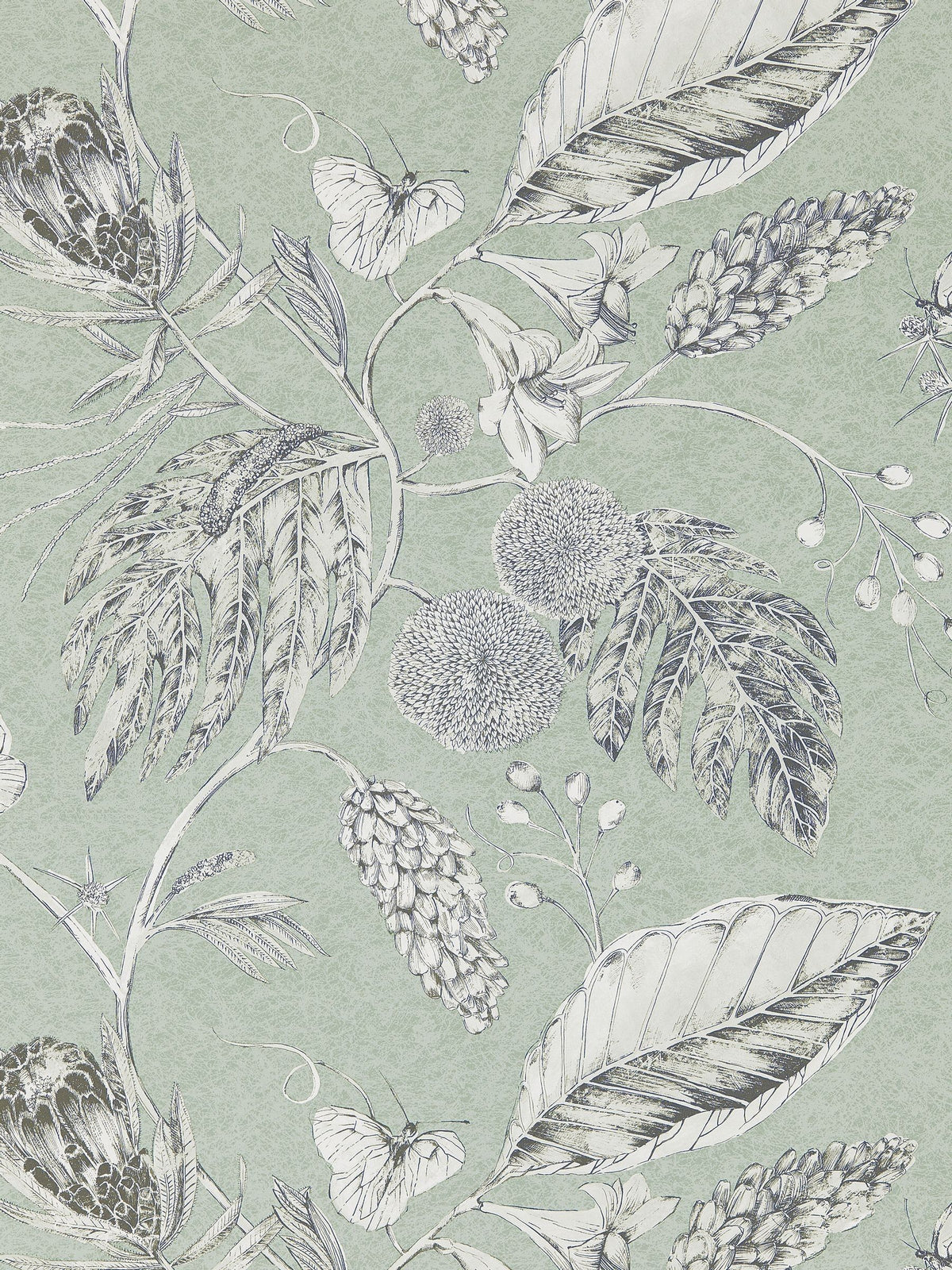 Harlequin Green Amborella wallpaper sample A4, imported from the UK