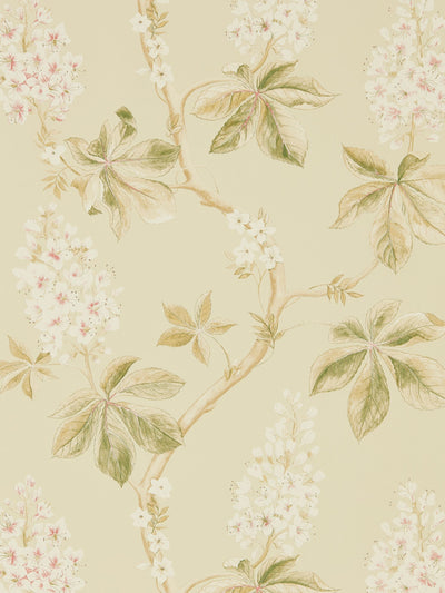 Next Sanderson Green Chestnut Tree Country Woodland Wallpaper 10M- Buy online at McGrocer