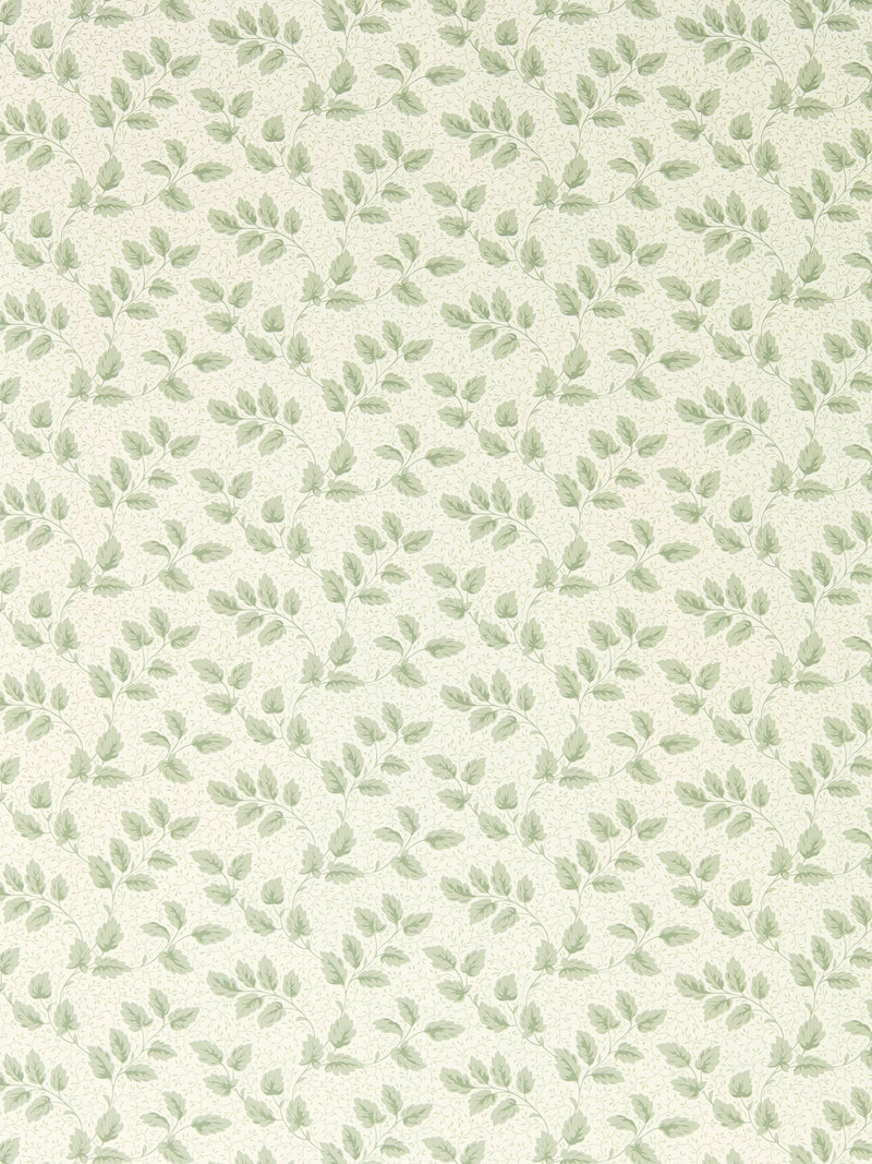 Sanderson Green Tomato Leaf Country Woodland Wallpaper 10M