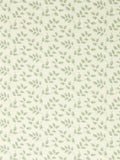 Sanderson Green Tomato Leaf Country Woodland Wallpaper 10M