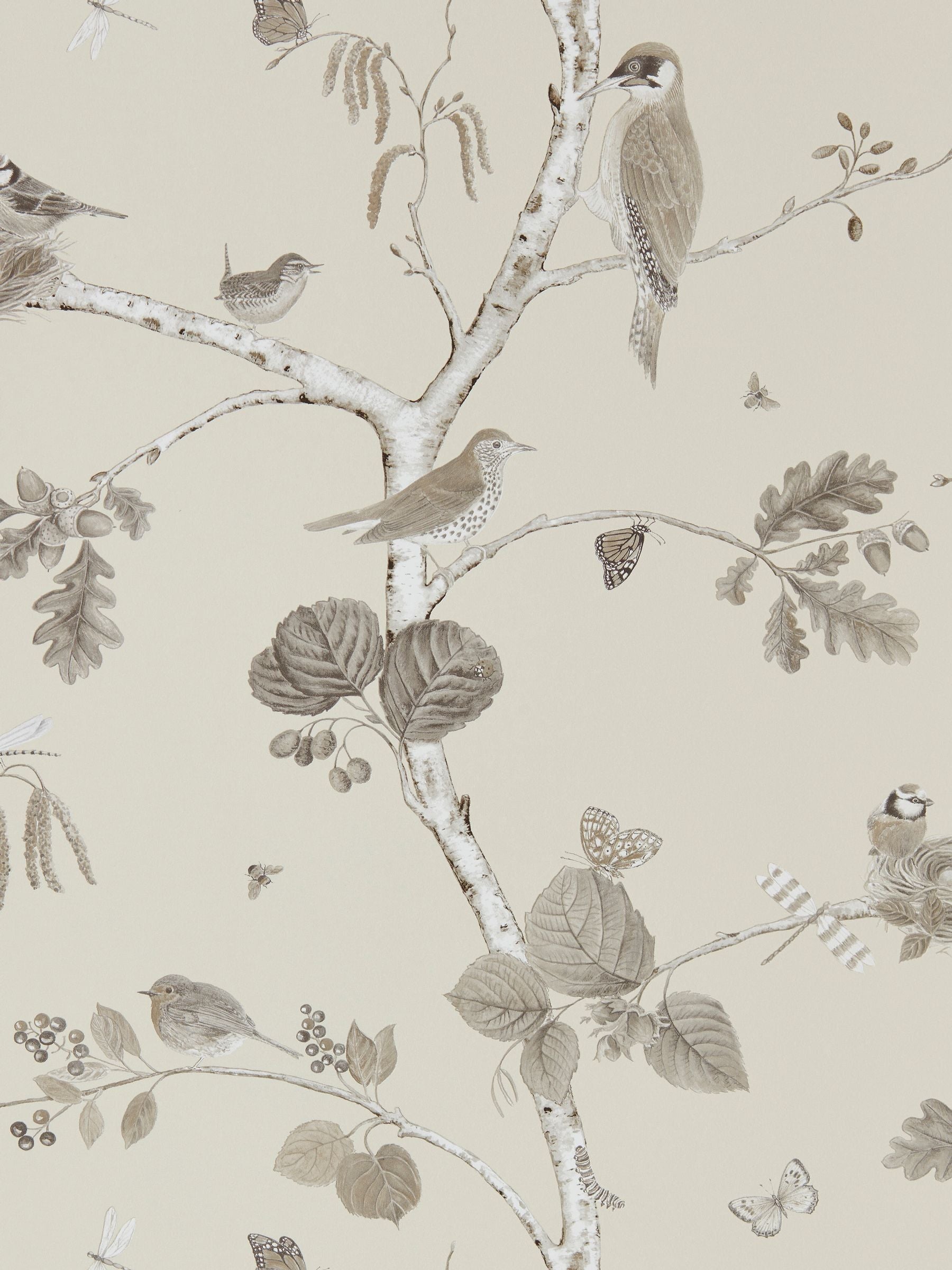 Sanderson wallpaper Natural Woodland Chorus 10m - British product