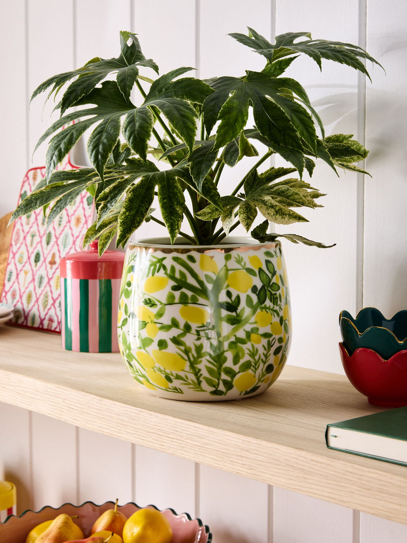 Lucy Tiffney Floral Large Ceramic Plant Pot