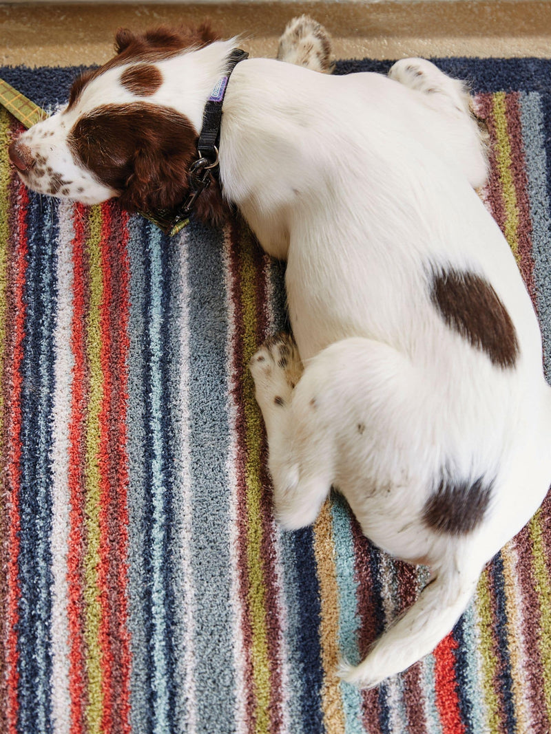 Hug Rug doormat Multi Stripe 32 65x85cm (British brand)