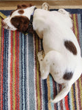 Hug Rug doormat Multi Stripe 32 65x85cm (British brand)